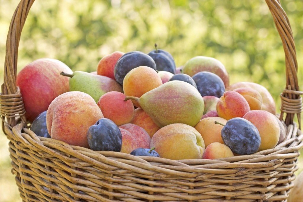 Recipe Sugar free fruit compote LITTLEROCK