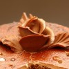 recipe for sugar paste and sweet rose cake decorations
