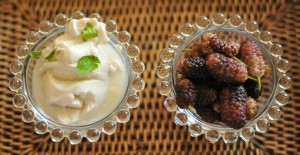 Ricotta ice cream with Wardija mulberries