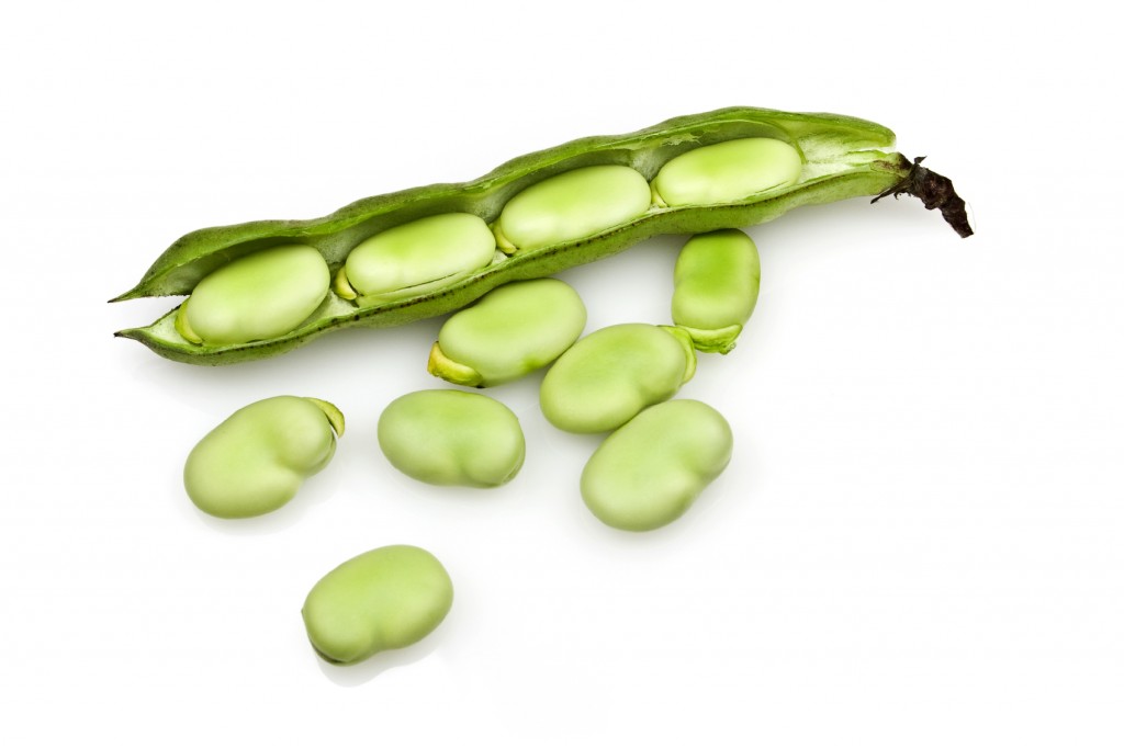 List of seasonal fruit and veg available in Malta LITTLEROCK