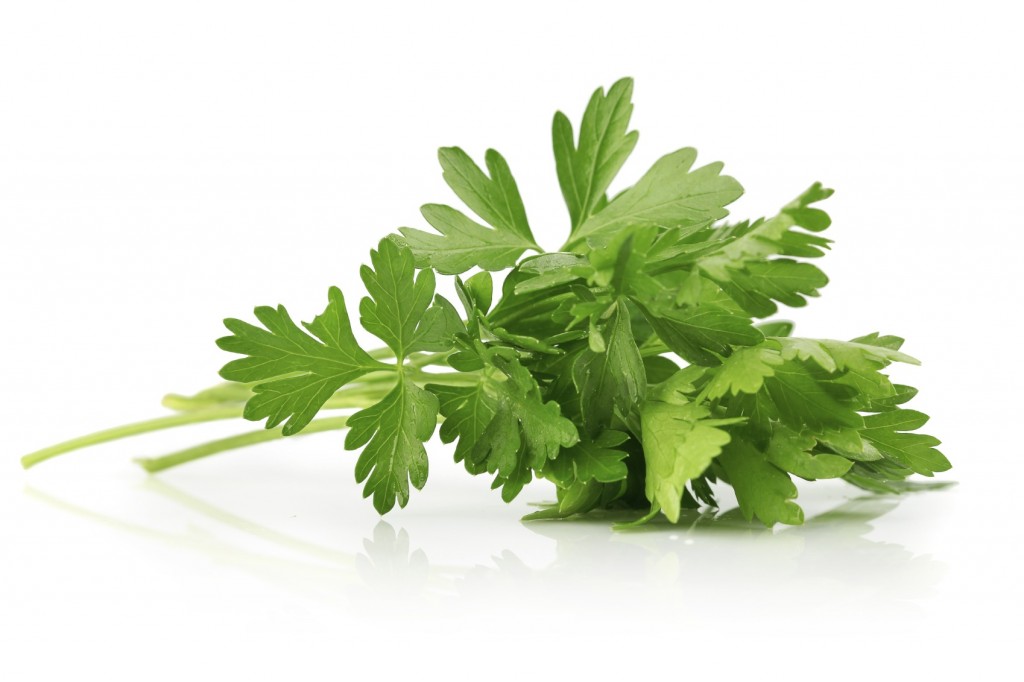 parsley