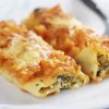 Cannelloni with ricotta cheese, tuna and spinach under tomato sauce